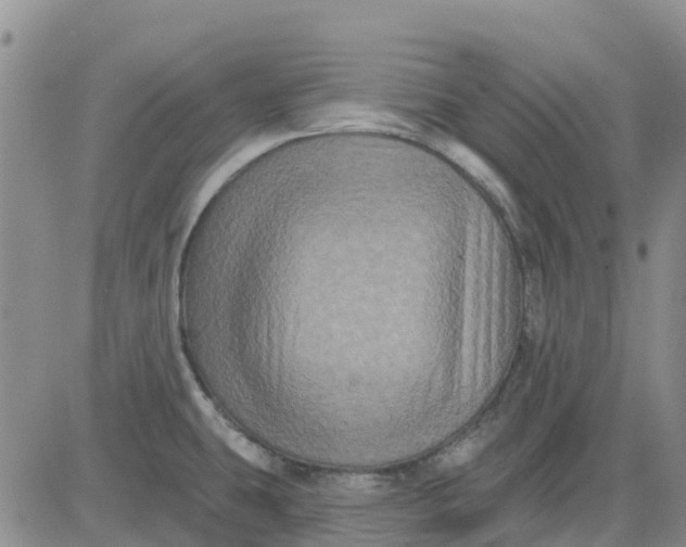 X0000080691431200612301438