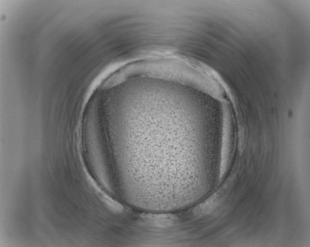 X0000080691432200612301438