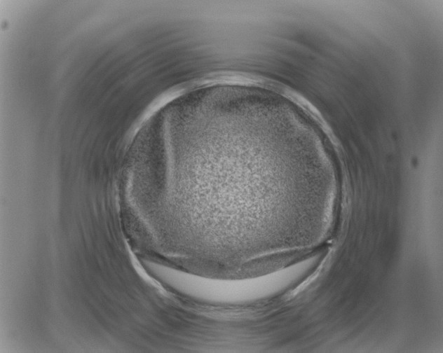 X0000080691433200612301438