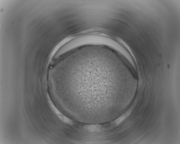 X0000080691434200612301438