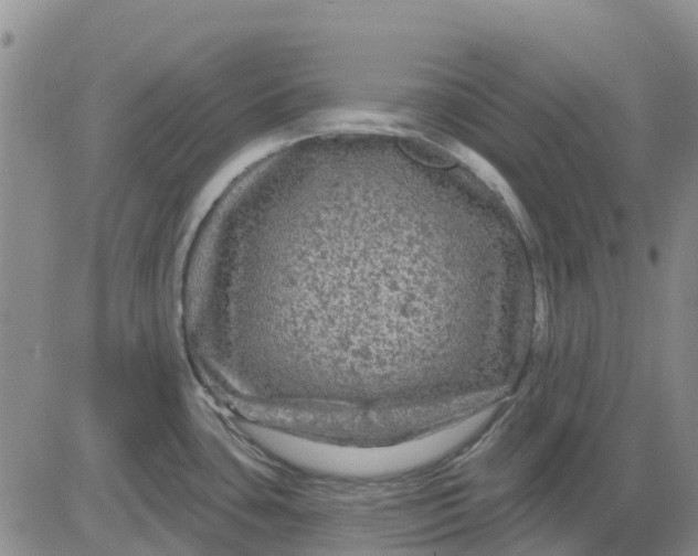 X0000080691435200612301438