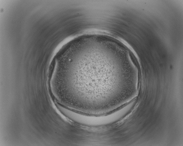 X0000080691437200612301438