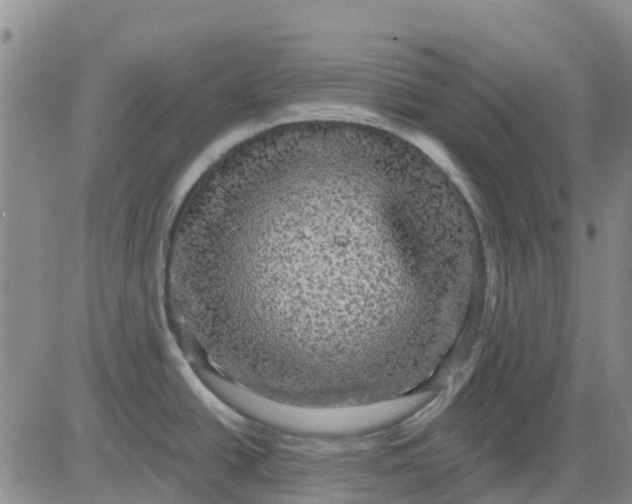 X0000080691438200612301438