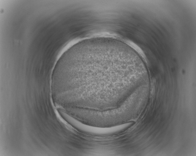 X0000080691439200612301438