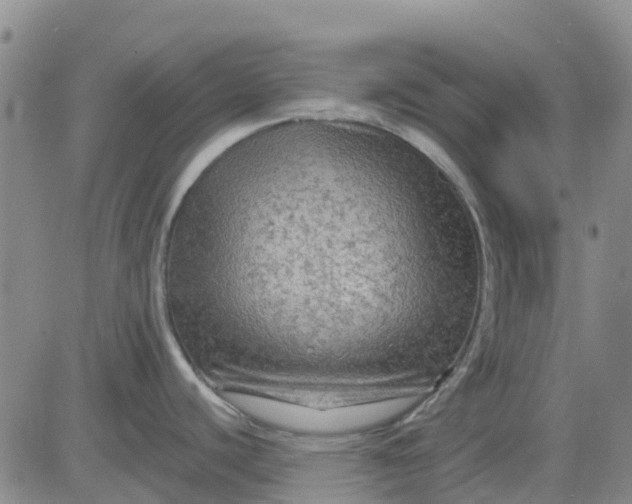 X0000080691440200612301438