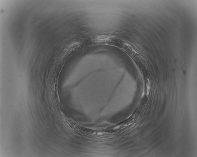 X0000080691441200612301438