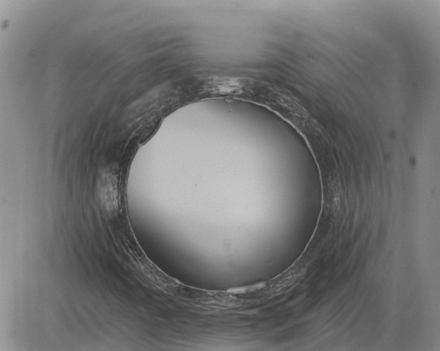 X0000080691442200612301438