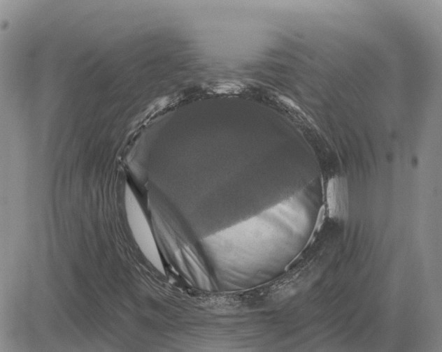 X0000080691443200612301438