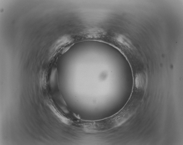 X0000080691444200612301438