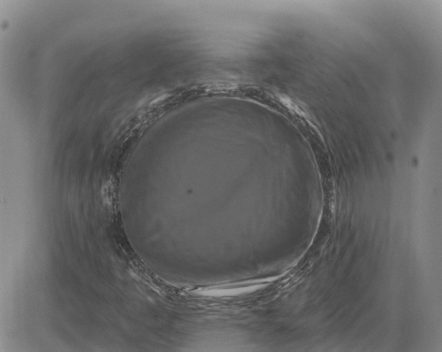 X0000080691445200612301438