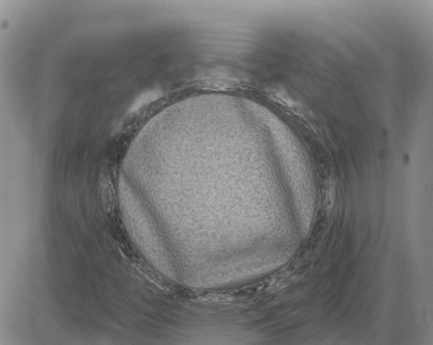 X0000080691446200612301438