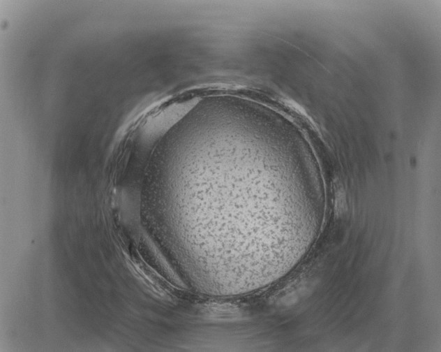 X0000080691448200612301438