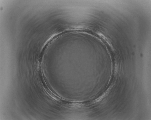 X0000080691449200612301438