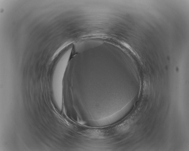 X0000080691450200612301438