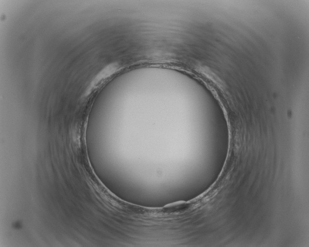 X0000080691451200612301438