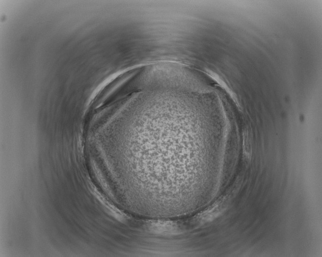 X0000080691452200612301437