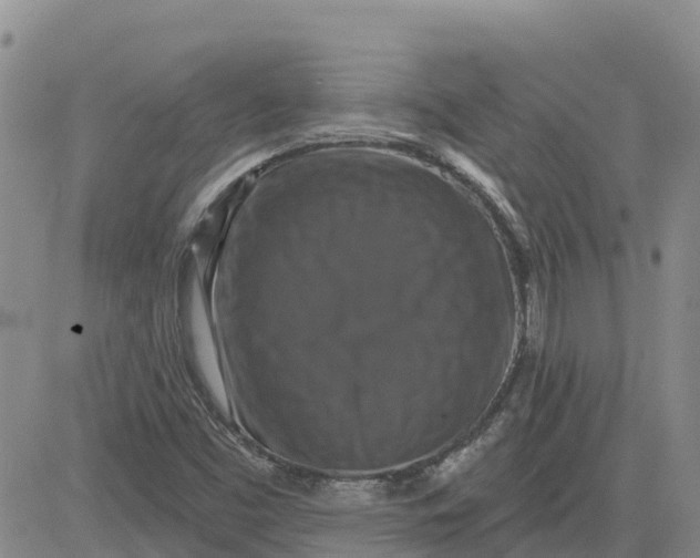 X0000080691453200612301437