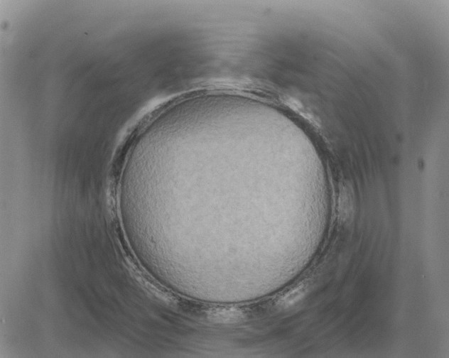 X0000080691454200612301437