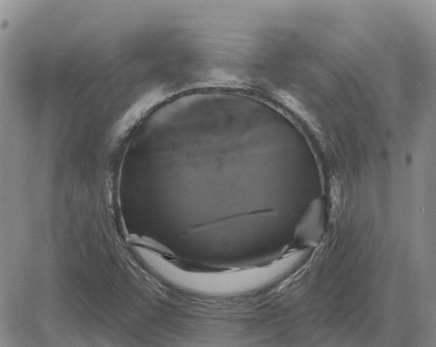 X0000080691455200612301437