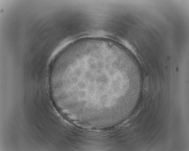 X0000080691456200612301437