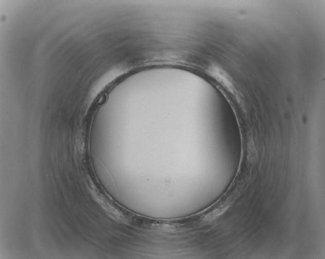 X0000080691458200612301437