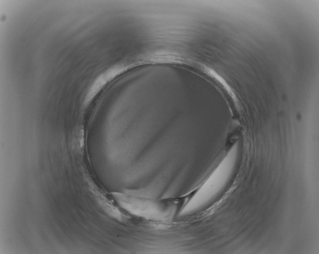 X0000080691461200612301437