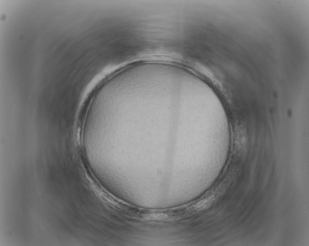 X0000080691462200612301437