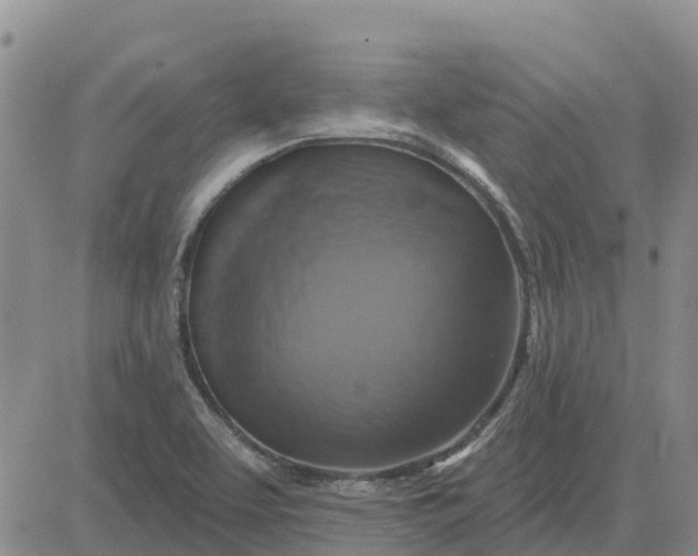 X0000080691463200612301437