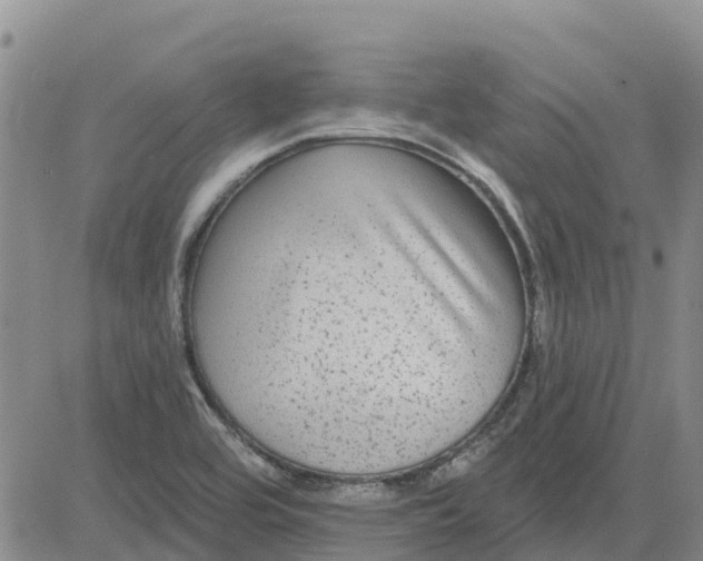 X0000080691464200612301437