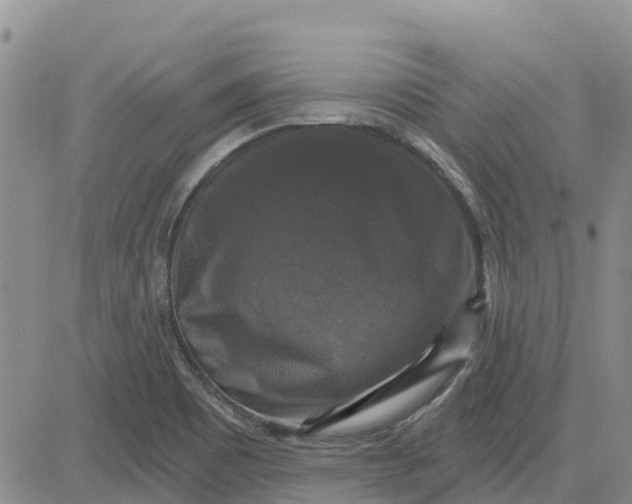 X0000080691465200612301437