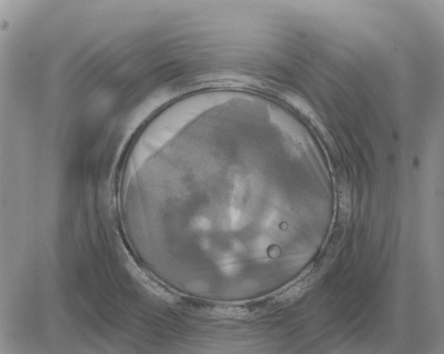 X0000080691466200612301437