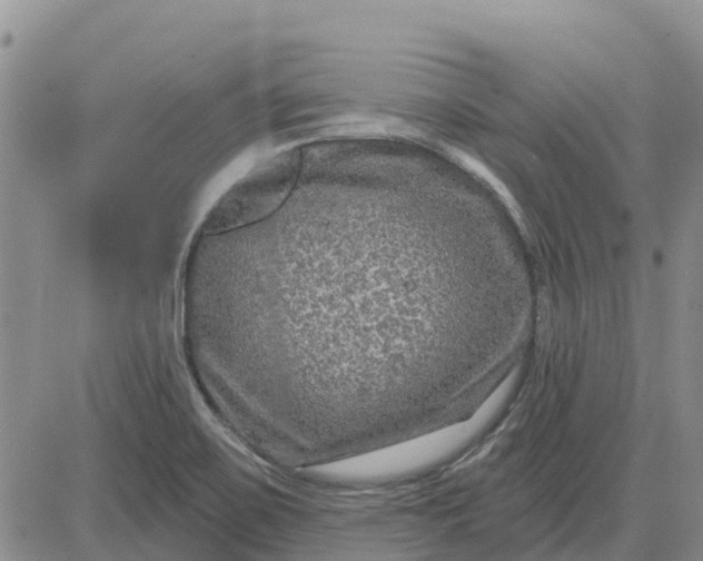 X0000080691467200612301437