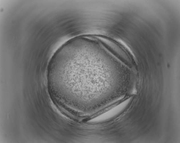 X0000080691468200612301437