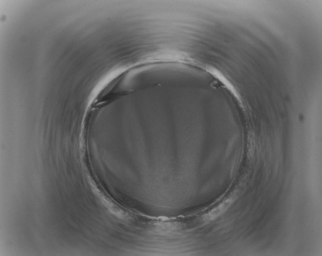 X0000080691469200612301437