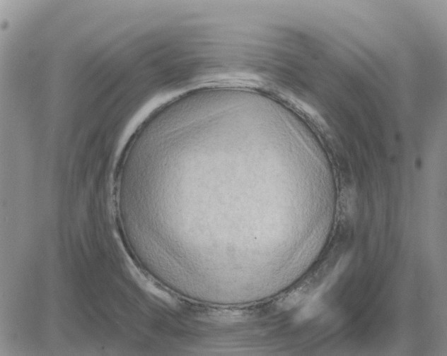 X0000080691470200612301437