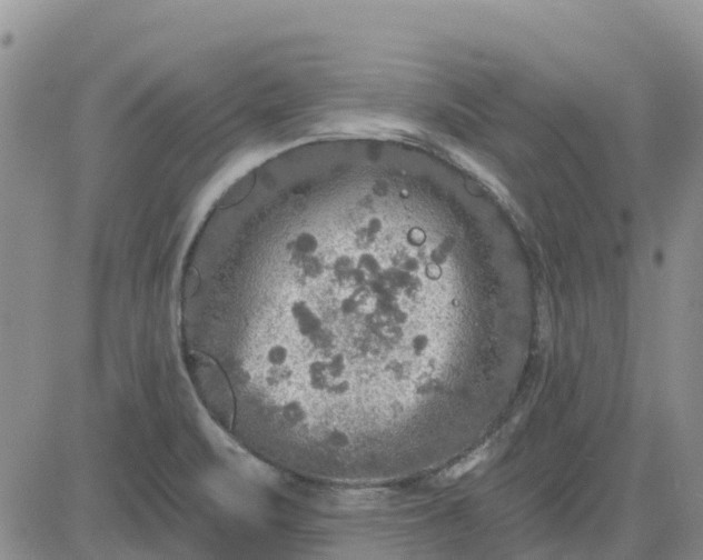 X0000080691471200612301437