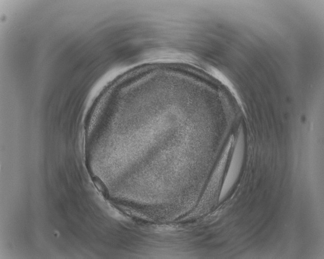 X0000080691472200612301437