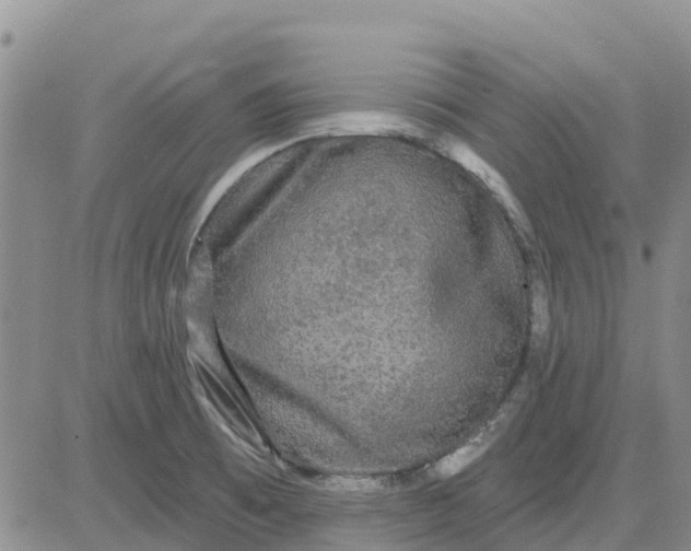 X0000080691473200612301437