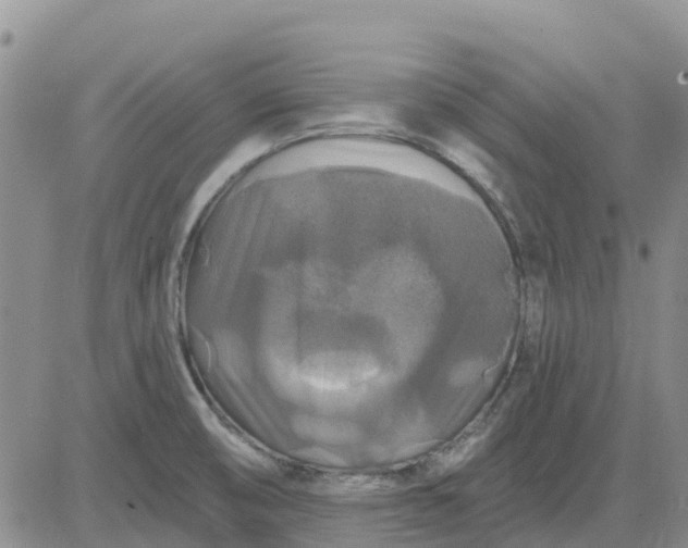 X0000080691474200612301437