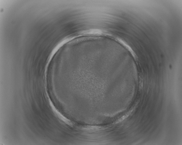 X0000080691475200612301437