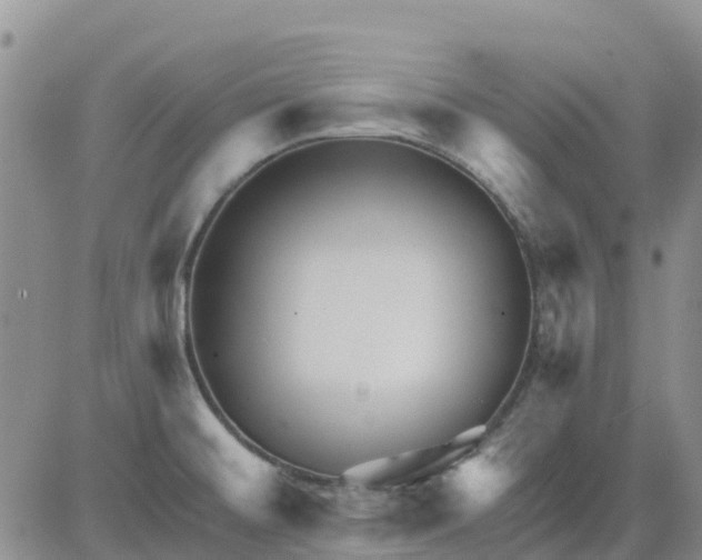 X0000080691476200612301437