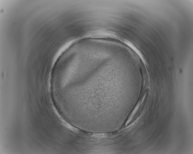 X0000080691477200612301437