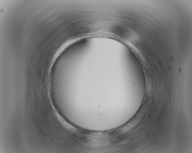 X0000080691478200612301437