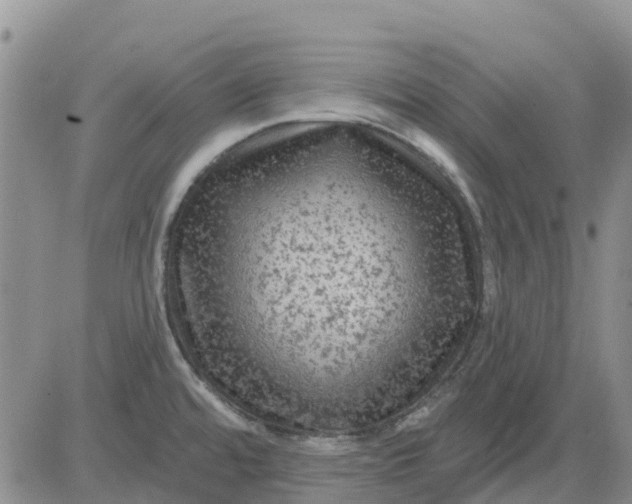 X0000080691480200612301437