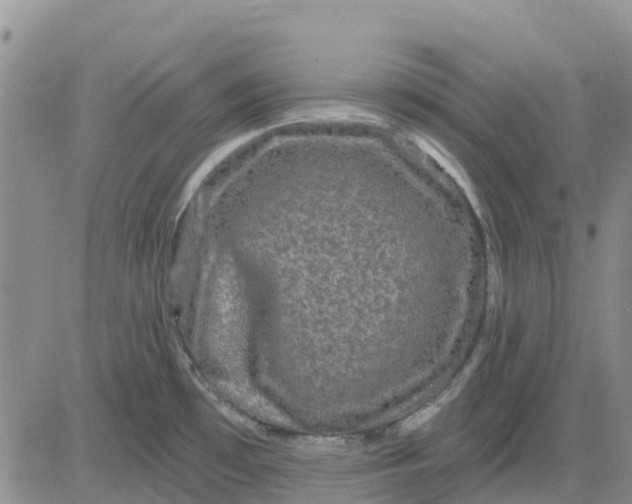 X0000080691481200612301437