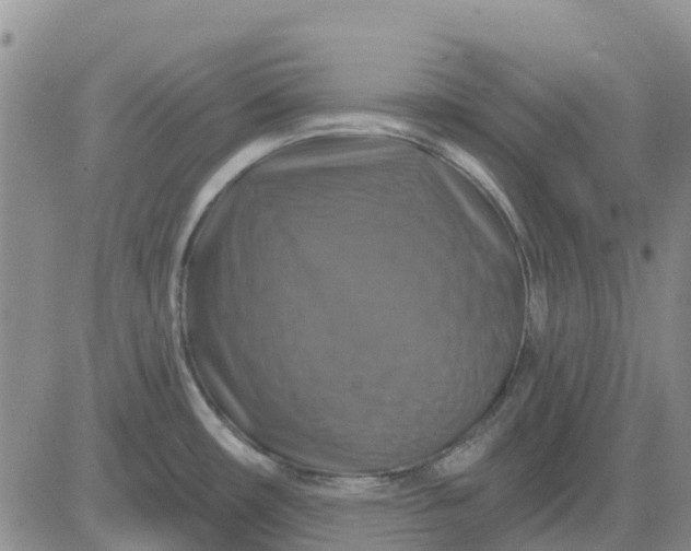 X0000080691482200612301437