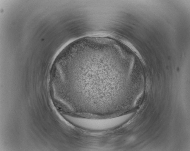 X0000080691484200612301437