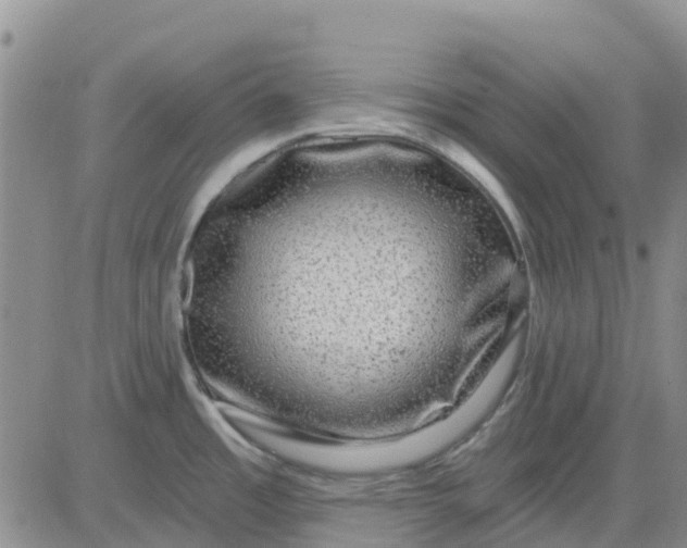 X0000080691485200612301437