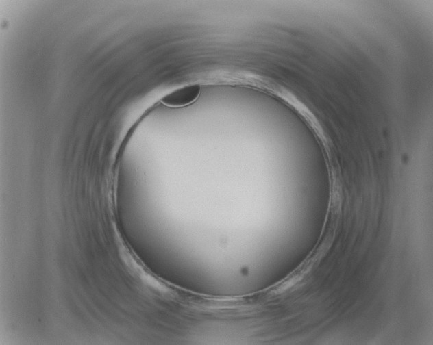 X0000080691486200612301437