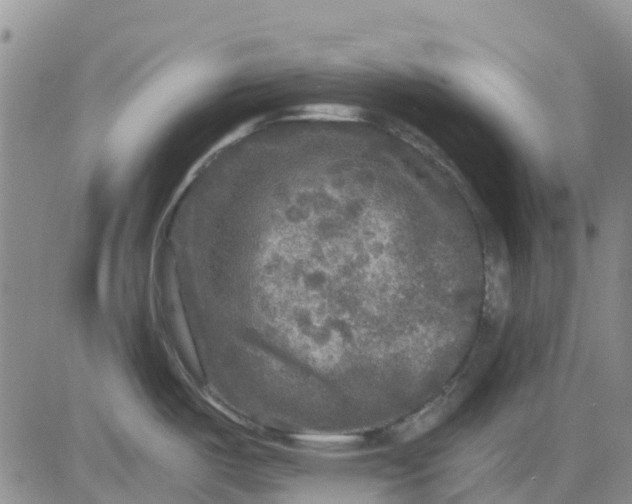 X0000080691487200612301437